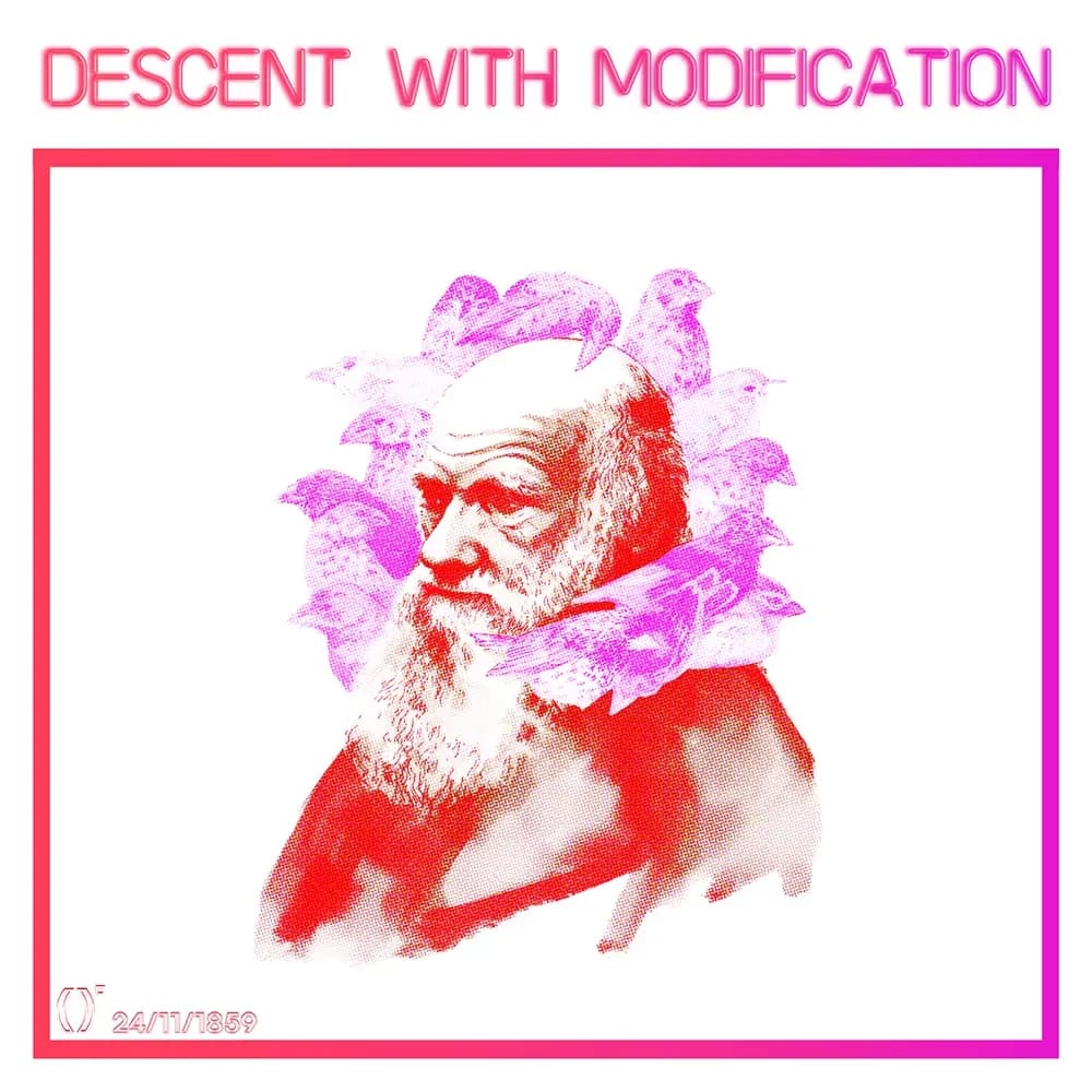 Exhibit #97 — DESCENT WITH MODIFICATION